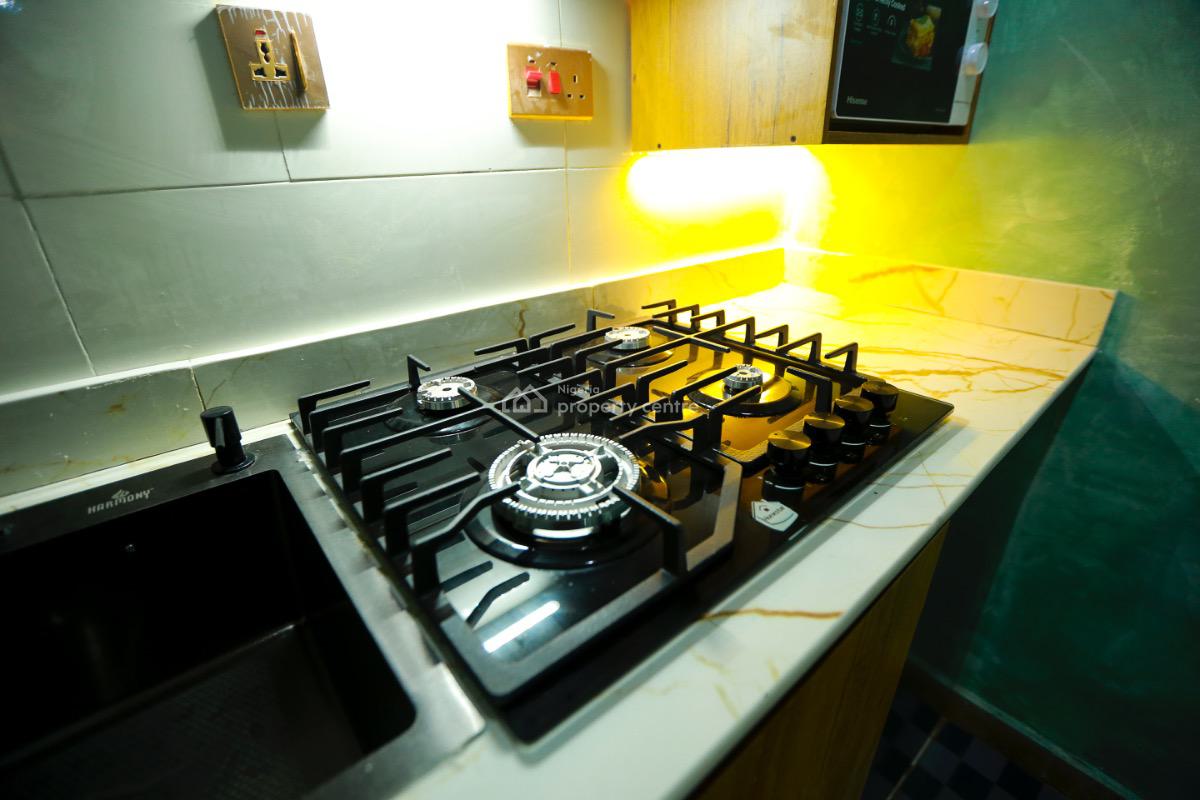 Own and Earn Up to N 12million Annually, Surulere, Lagos, Flat / Apartment for Sale