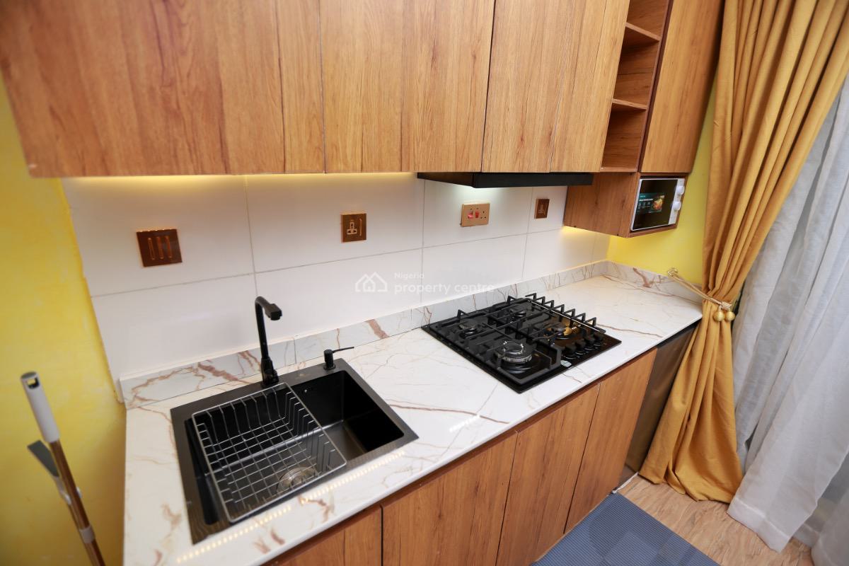 Own and Earn Up to N 12million Annually, Surulere, Lagos, Flat / Apartment for Sale