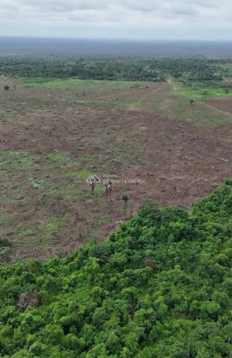 Affordable Land in Imota Ikorodu, a C of O Land Black Friday Promo Price 500k per Plot, Imota, Ikorodu, Lagos, Residential Land for Sale