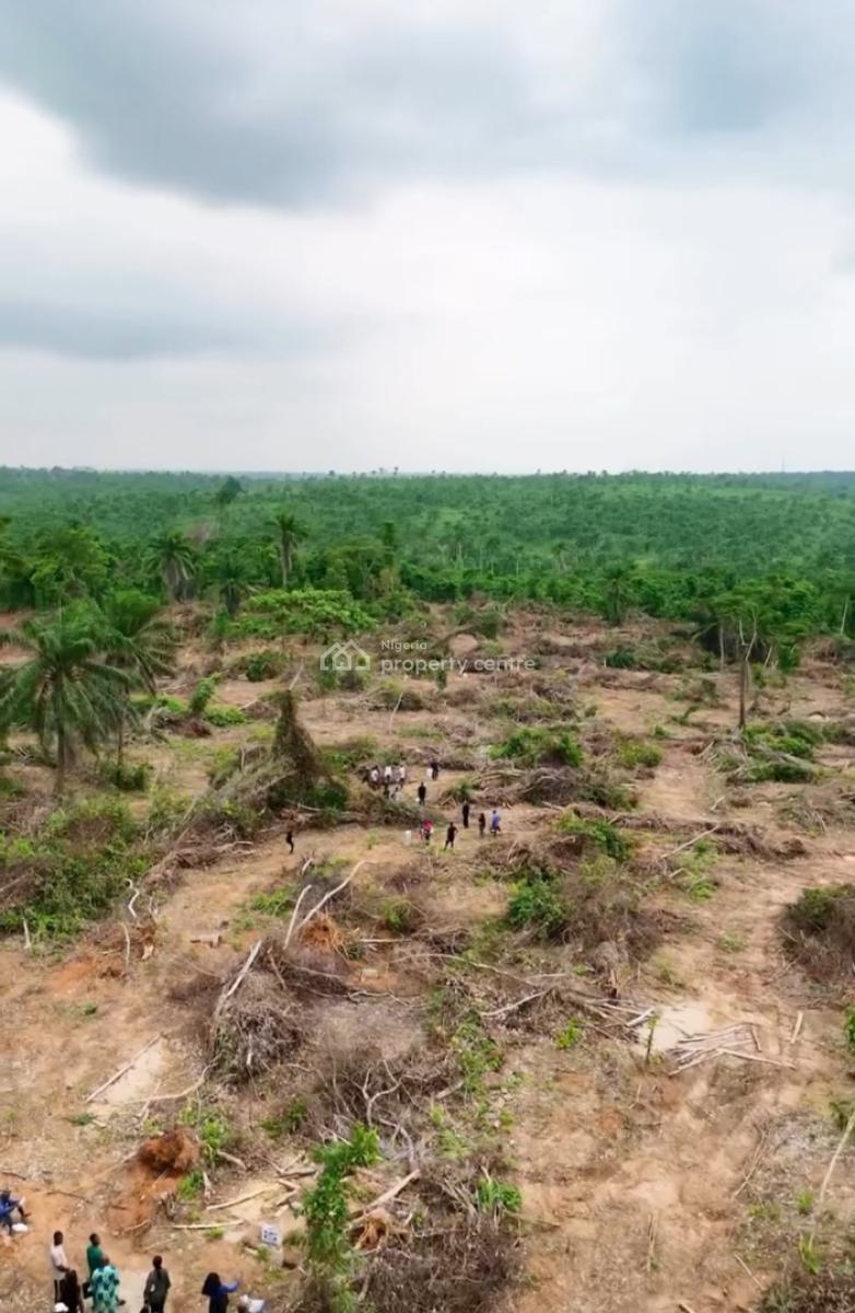 Affordable Land in Imota Ikorodu, a C of O Land Black Friday Promo Price 500k per Plot, Imota, Ikorodu, Lagos, Residential Land for Sale