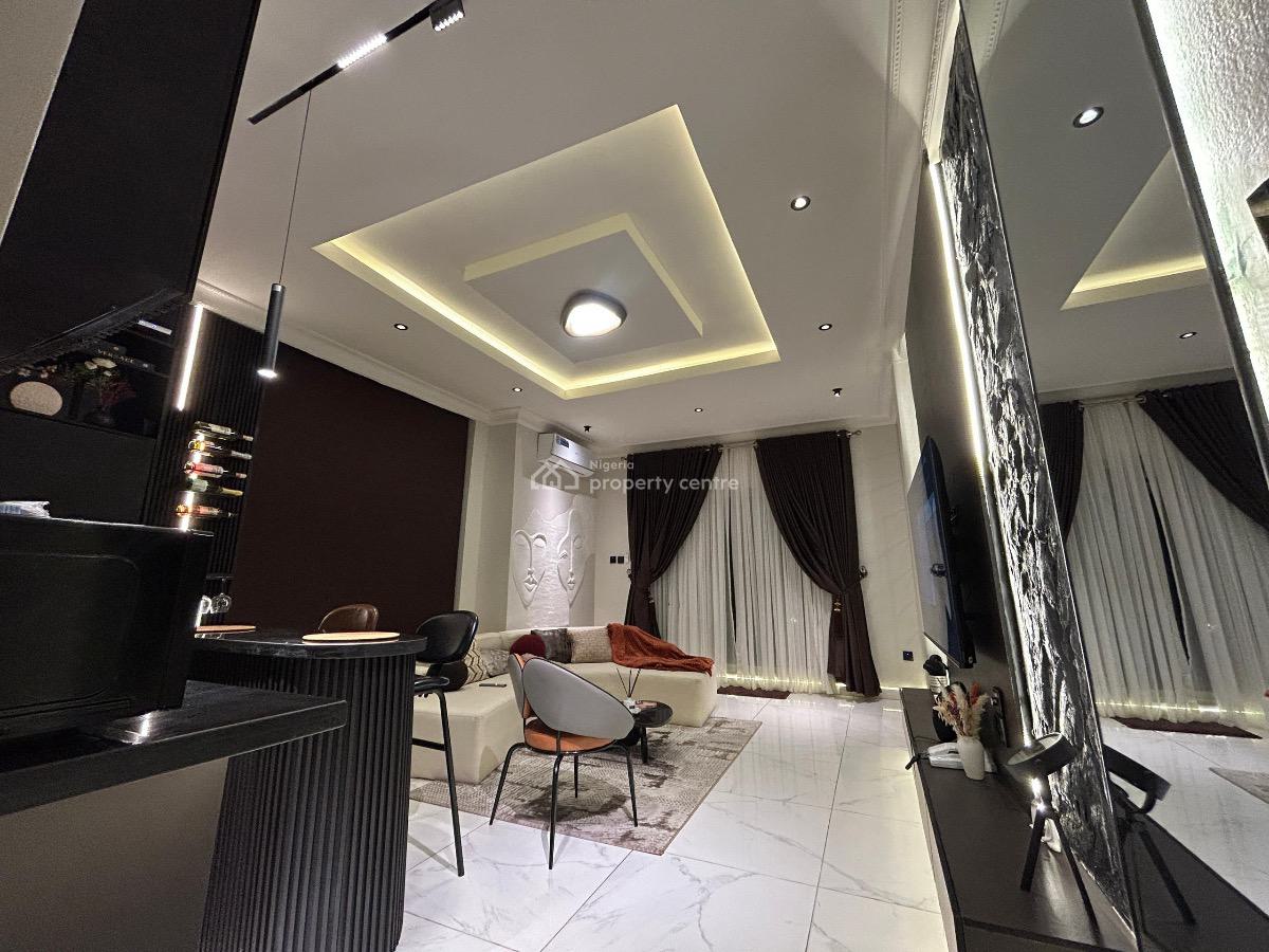 Luxury 1 Bedroom Apartment with Water View, Rooftop Lounge, and Pool, Phase 1, Lekki, Lagos, Mini Flat (room and Parlour) Short Let