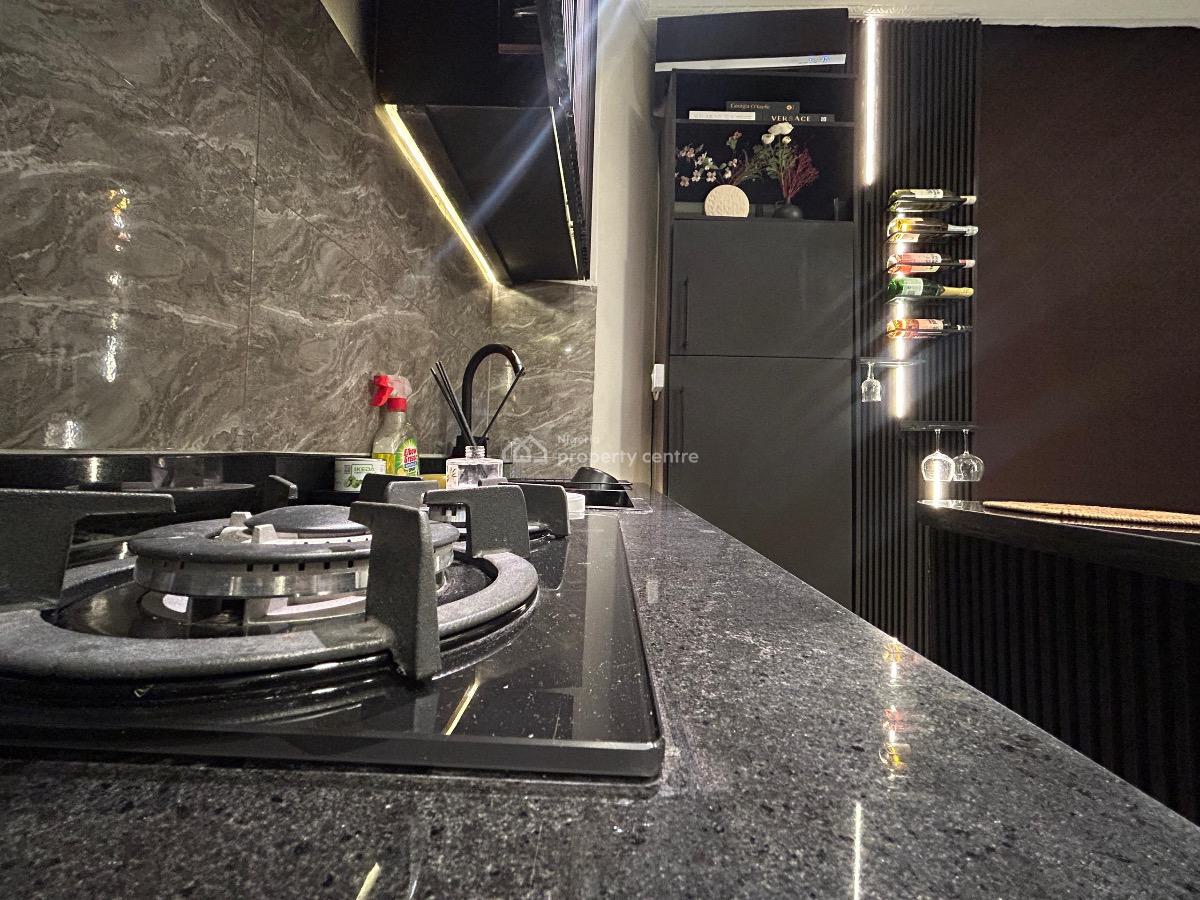 Luxury 1 Bedroom Apartment with Water View, Rooftop Lounge, and Pool, Phase 1, Lekki, Lagos, Mini Flat (room and Parlour) Short Let