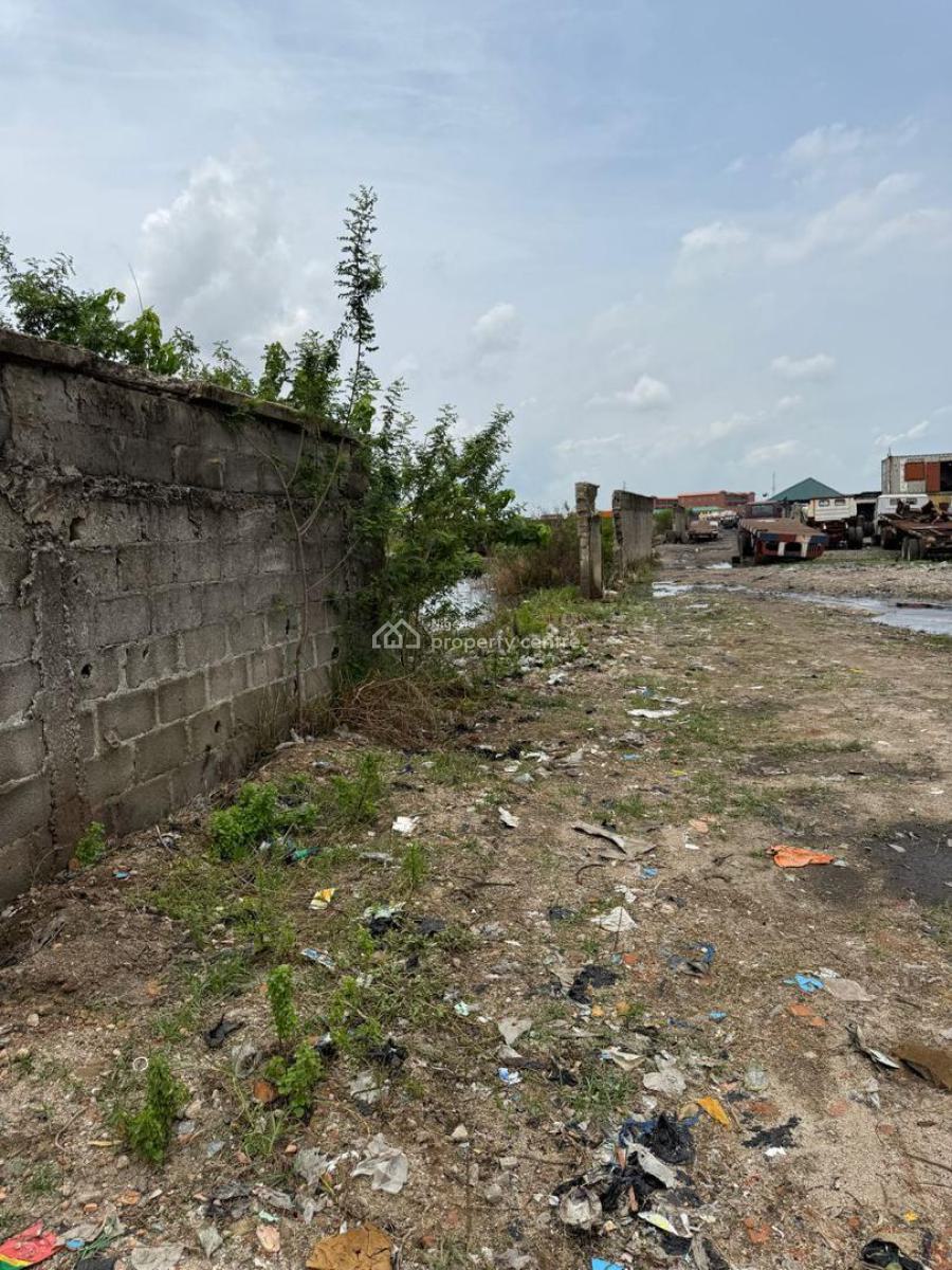 a 3 and 4 Hectares of Land on The Expressway (7 Hectares Total), Orile, Lagos, Land for Sale
