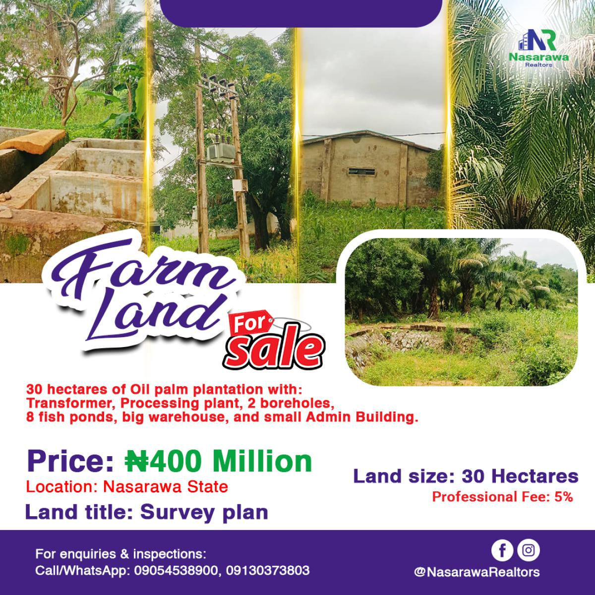 30 Hectares Palm Oil Plantation Is Available, Karu, Nasarawa, Commercial Land for Sale