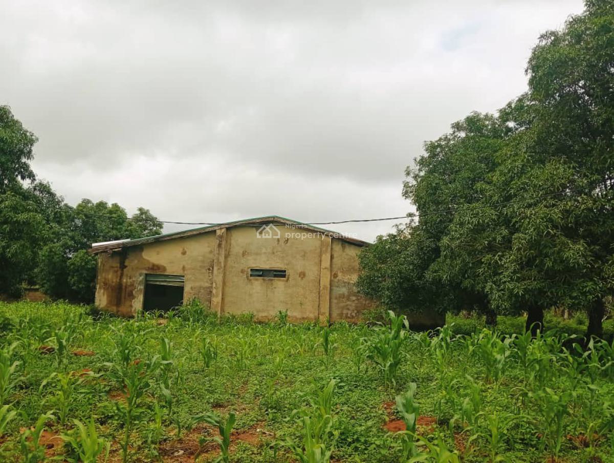 30 Hectares Palm Oil Plantation Is Available, Karu, Nasarawa, Commercial Land for Sale