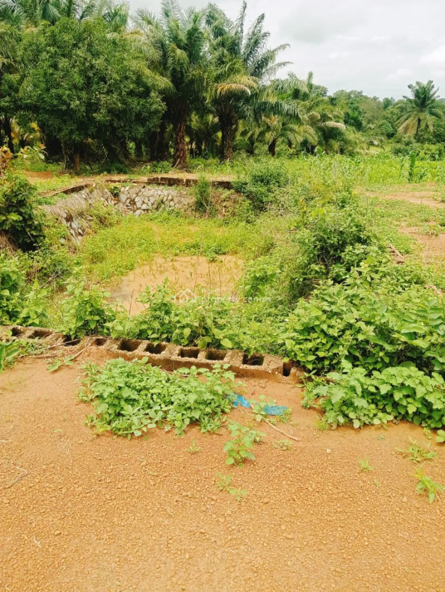 30 Hectares Palm Oil Plantation Is Available, Karu, Nasarawa, Commercial Land for Sale