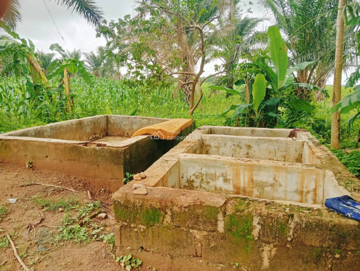 30 Hectares Palm Oil Plantation Is Available, Karu, Nasarawa, Commercial Land for Sale