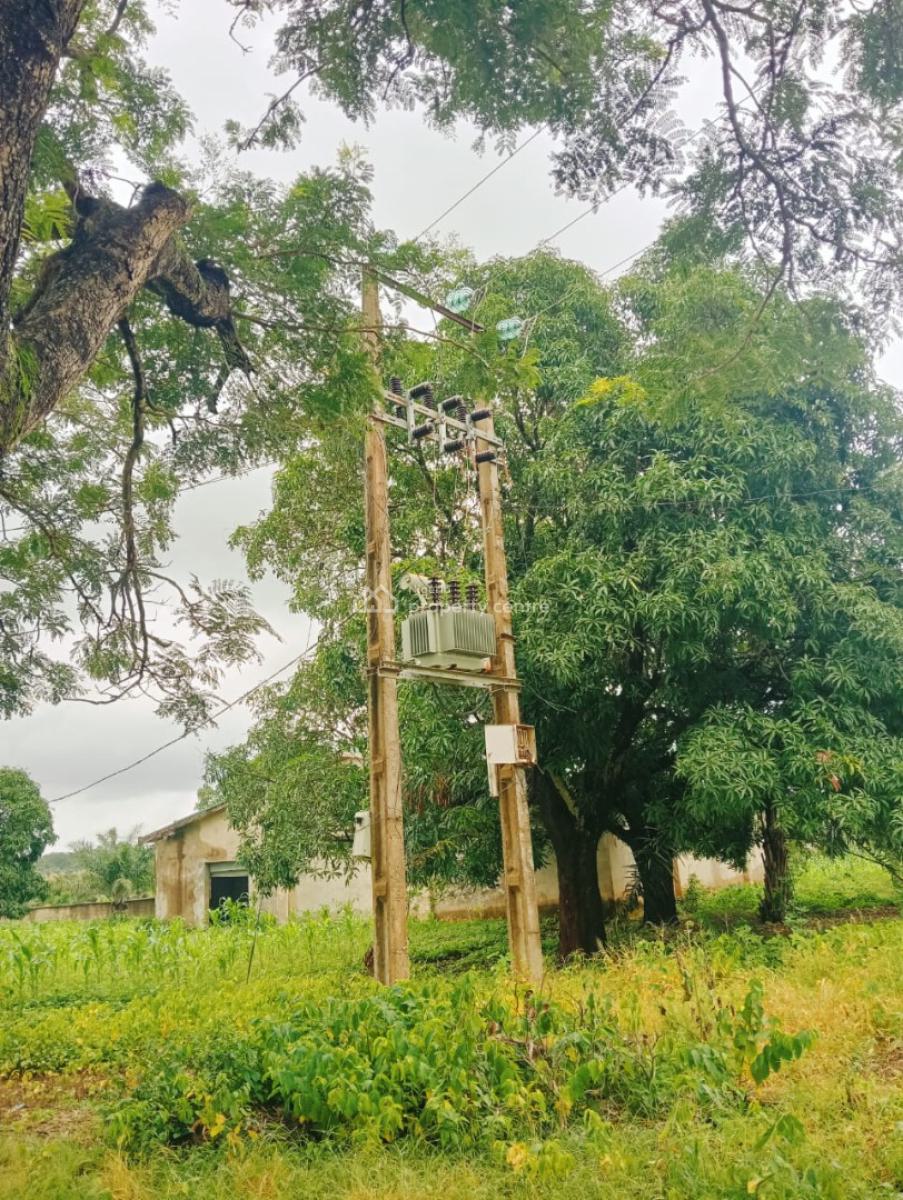 30 Hectares Palm Oil Plantation Is Available, Karu, Nasarawa, Commercial Land for Sale