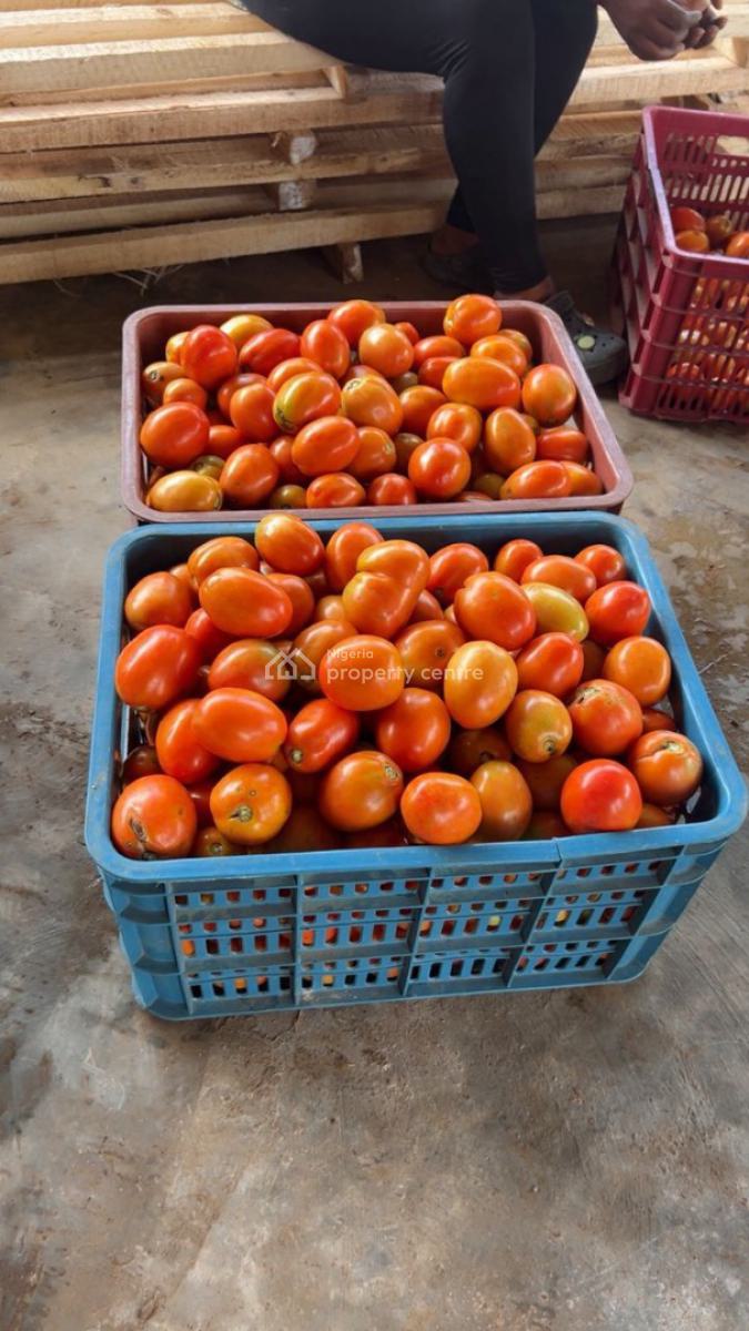 Wealth Creation Opportunity(food Security Project), Funnab, Abeokuta North, Ogun, Tank Farm for Sale