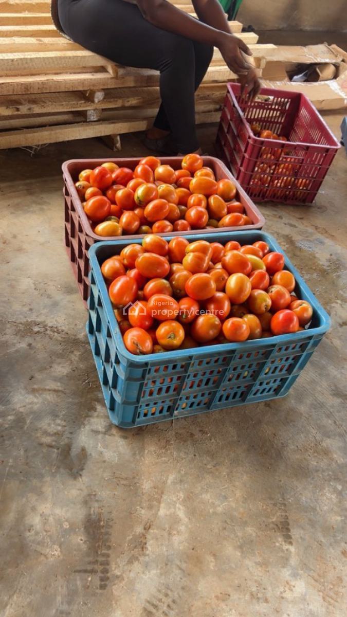 Wealth Creation Opportunity(food Security Project), Funnab, Abeokuta North, Ogun, Tank Farm for Sale