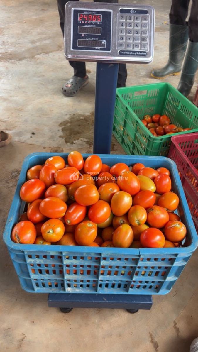 Wealth Creation Opportunity(food Security Project), Funnab, Abeokuta North, Ogun, Tank Farm for Sale