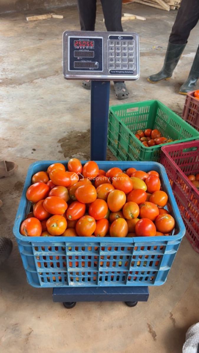 Wealth Creation Opportunity(food Security Project), Funnab, Abeokuta North, Ogun, Tank Farm for Sale