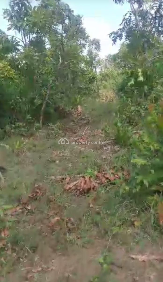 Secure 50 Acres Available, Isaga Orile, Abeokuta North, Ogun, Mixed-use Land for Sale