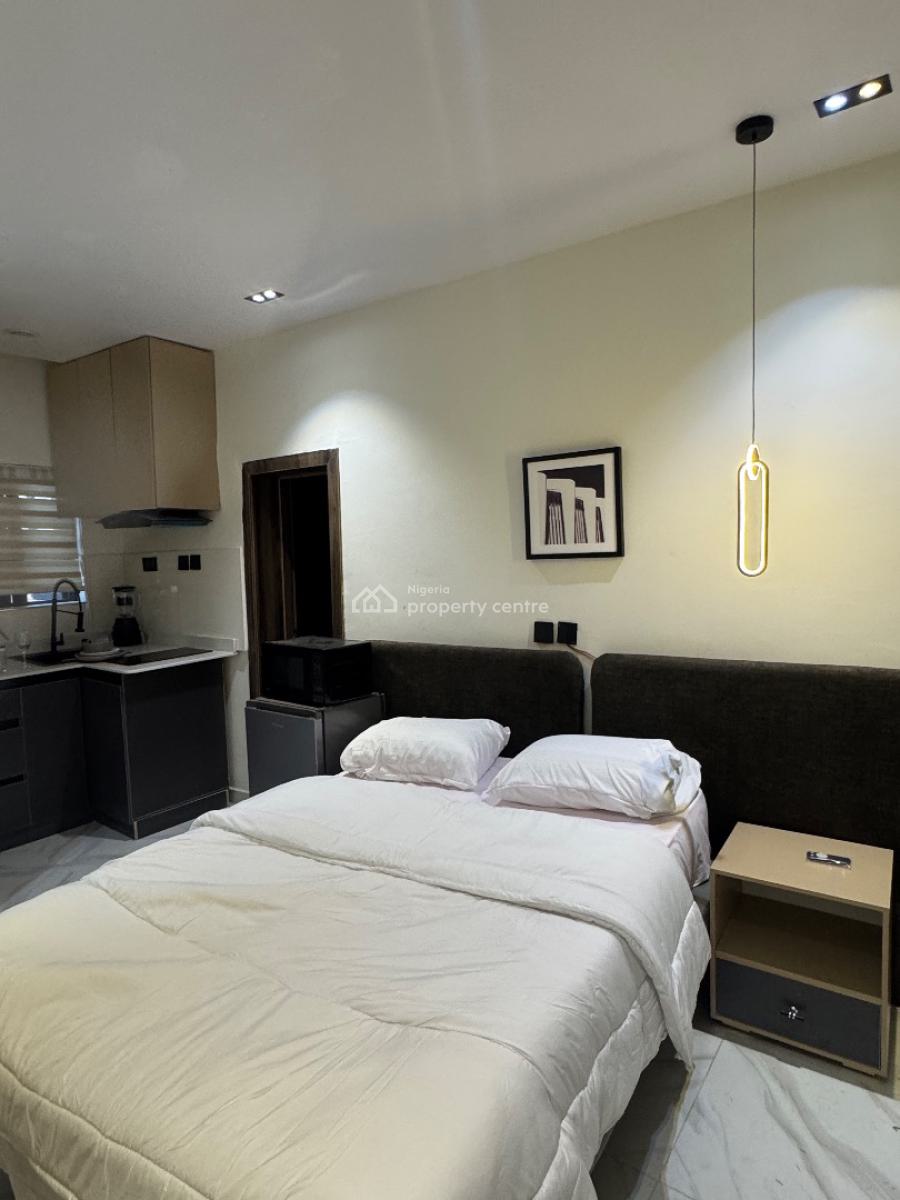 Alluring Studio Apartment, Surulere, Lagos, Self Contain (single Rooms) Short Let