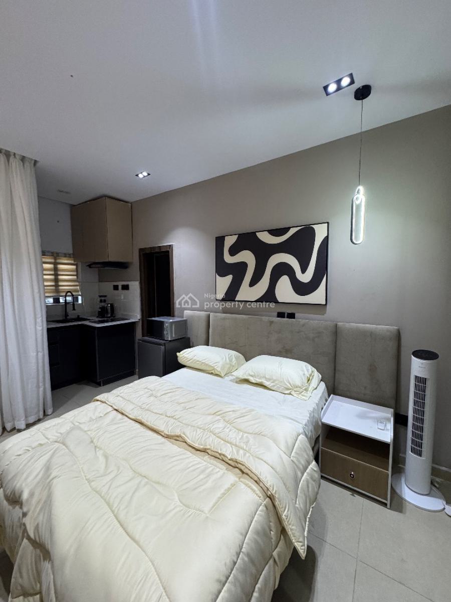 Executive Studio Apartment for Airbnb with Laundromat, Adelabu, Surulere, Lagos, Self Contain (single Rooms) Short Let