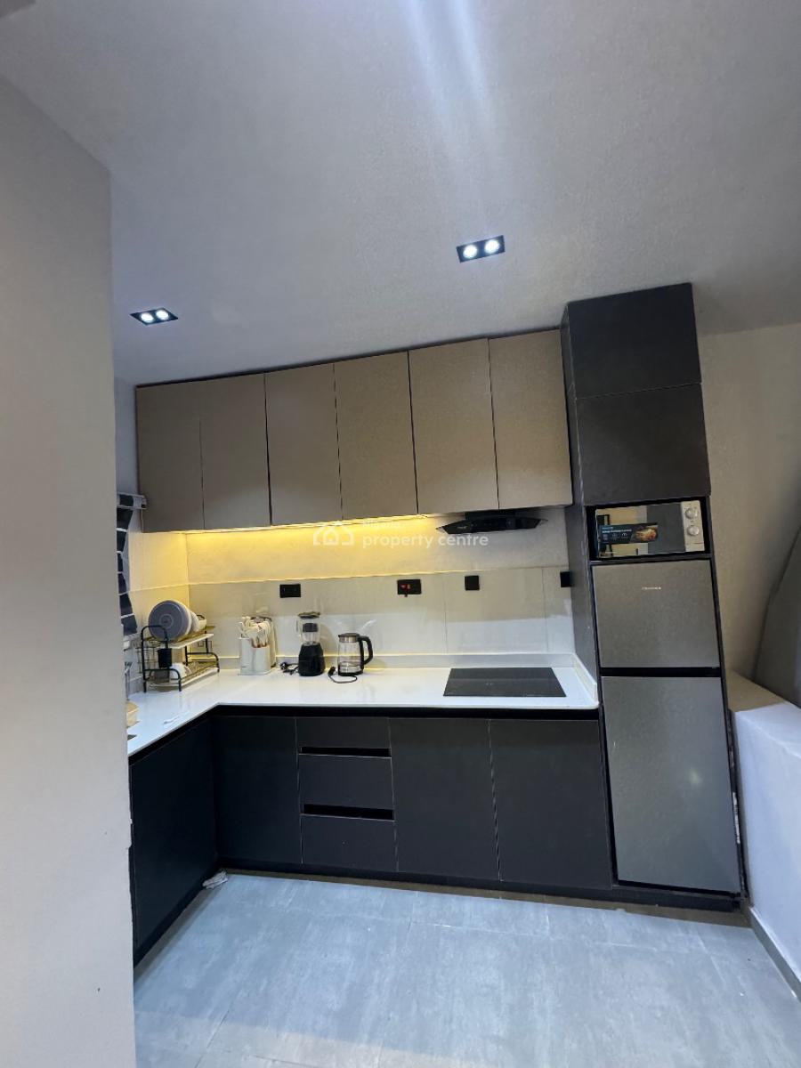 Premium One Bedroom Apartment for Airbnb with Top Notch Designs, Alluring 1 Bedroom Apartment for Shortlet in a Calm Environ, Adelabu, Surulere, Lagos, Mini Flat (room and Parlour) Short Let