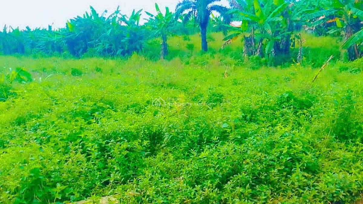 2 Plots of Land, Oke Obere, Ijoka Road, Akure, Ondo, Mixed-use Land for Sale