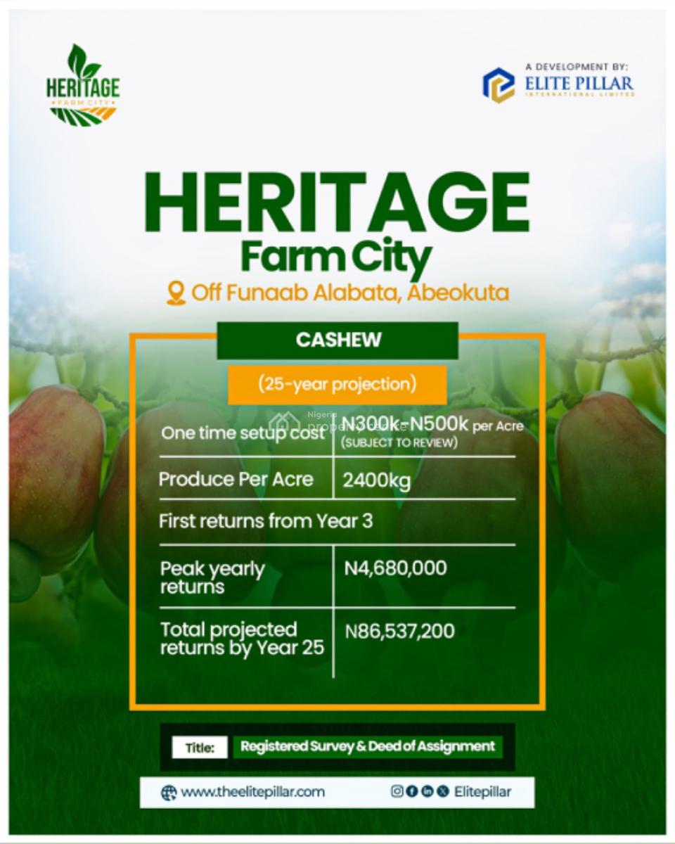 Most Profitable Farm Business, Alabata Buy Land and We Farm for You, Abeokuta North, Ogun, Commercial Land for Sale