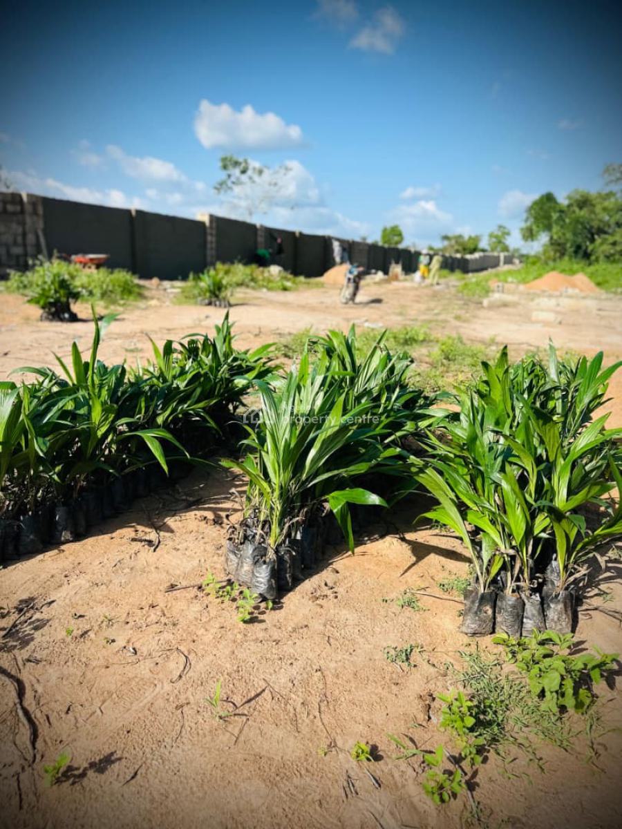 Turn Soil Into Wealth Your Farmland Journey Starts Today, Close to Funnab, Abeokuta North, Ogun, Mixed-use Land for Sale