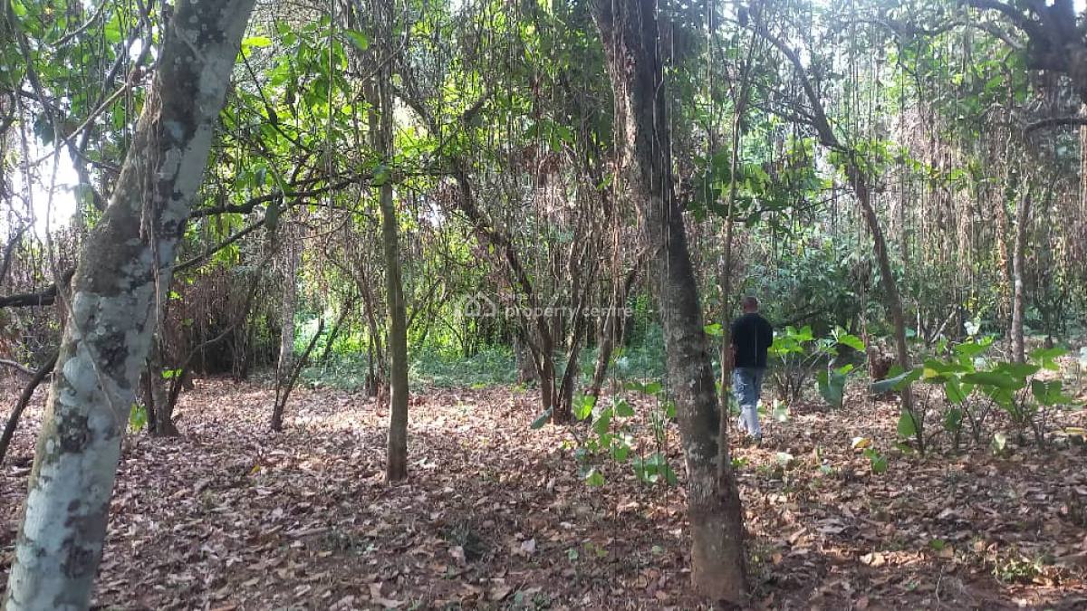 Affordable Cocoa Farm with 1 Year Payment Plans, Cocoa Farm Village  Estate Ajebo Community, Obafemi Owode, Ogun, Commercial Land for Sale