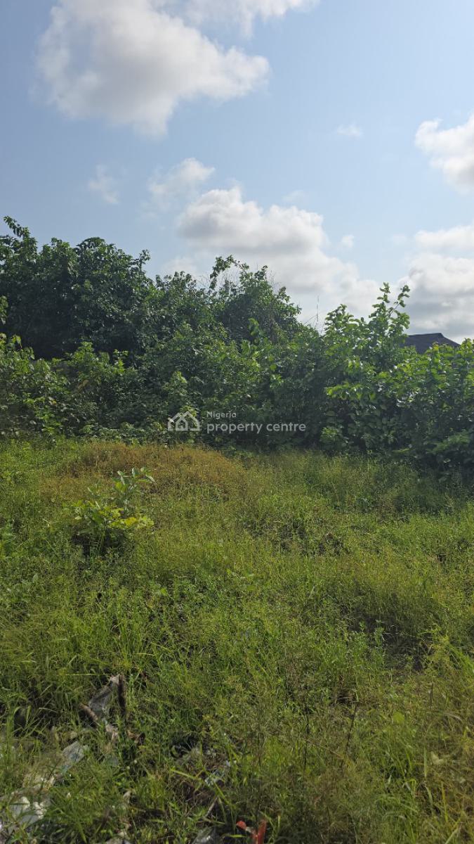 Just 2 Plots, Monastery Road, Sangotedo, Ajah, Lagos, Land for Sale