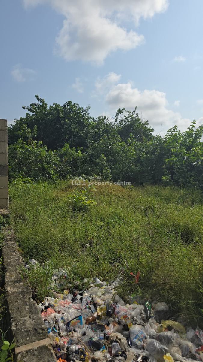 Just 2 Plots, Monastery Road, Sangotedo, Ajah, Lagos, Land for Sale