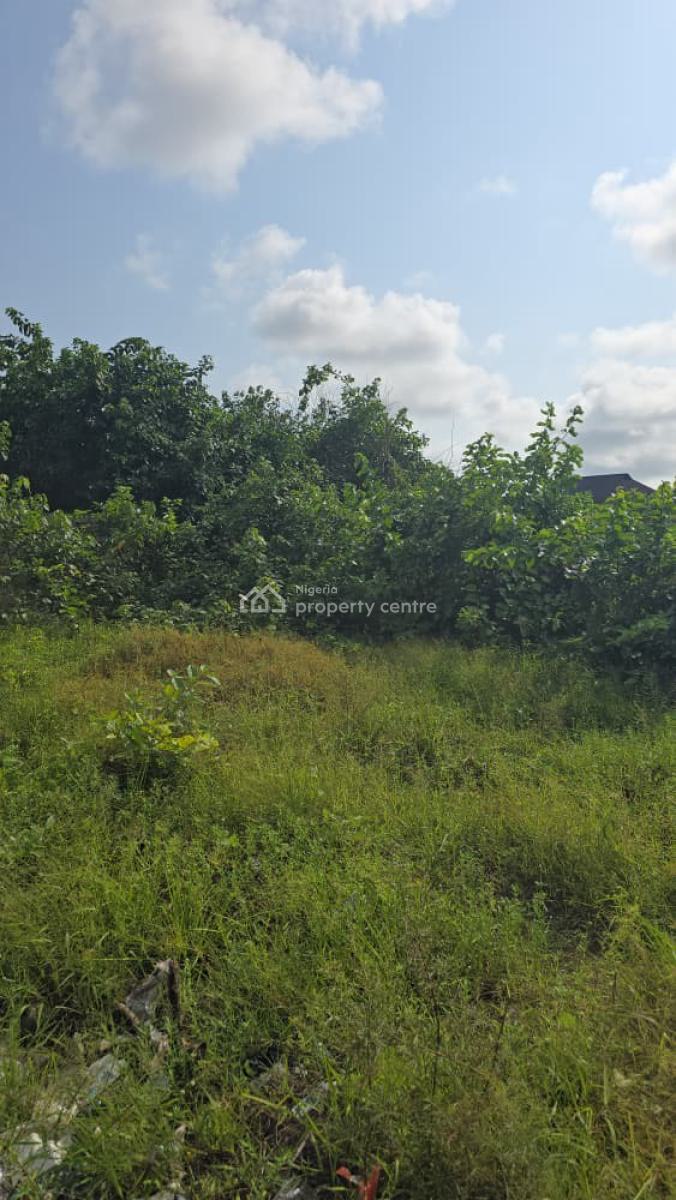 Just 2 Plots, Monastery Road, Sangotedo, Ajah, Lagos, Land for Sale