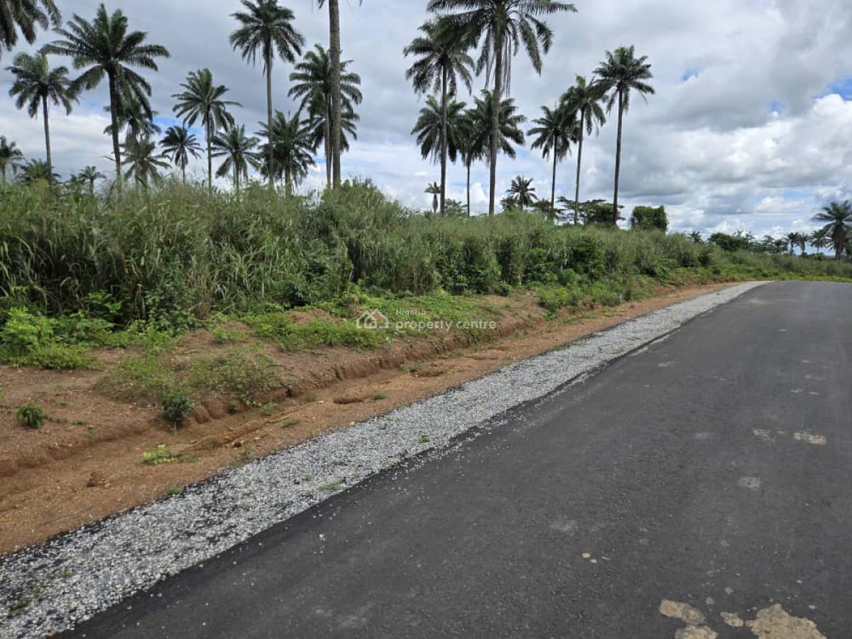 Most Affordable Secure Land Facing Express, Success Park, Obafemi Owode, Ogun, Mixed-use Land for Sale