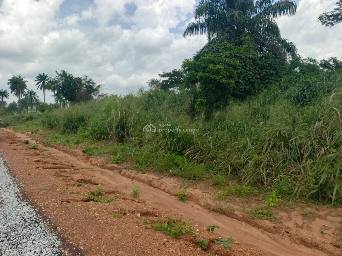 Most Affordable Secure Land Facing Express, Success Park, Obafemi Owode, Ogun, Mixed-use Land for Sale