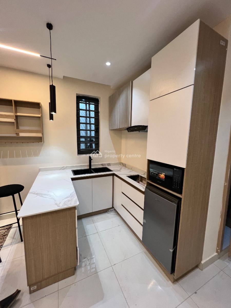 The Only 1-bedroom Investment That Ignores Naira Depreciation., Surulere, Lagos, Mini Flat (room and Parlour) for Sale