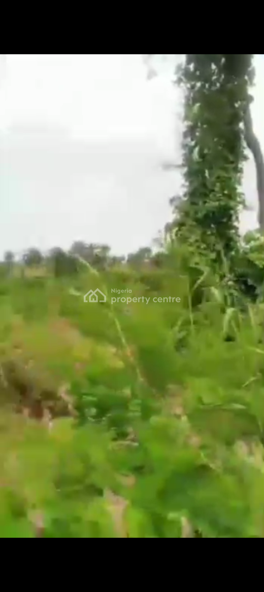 Survey Sponsorship, Ago Iwoye Express, Ijebu North, Ogun, Mixed-use Land Joint Venture