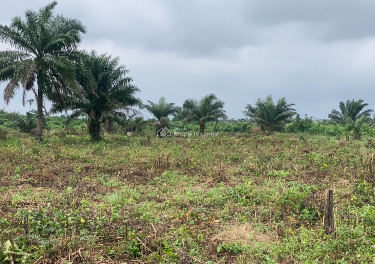 Acres and Hectares Palm Oil Farmland at Onigbedu, Ewekoro Ogun State, Onigbedu Off Lagos-abeokuta Expressway, Ewekoro, Ogun, Land for Sale