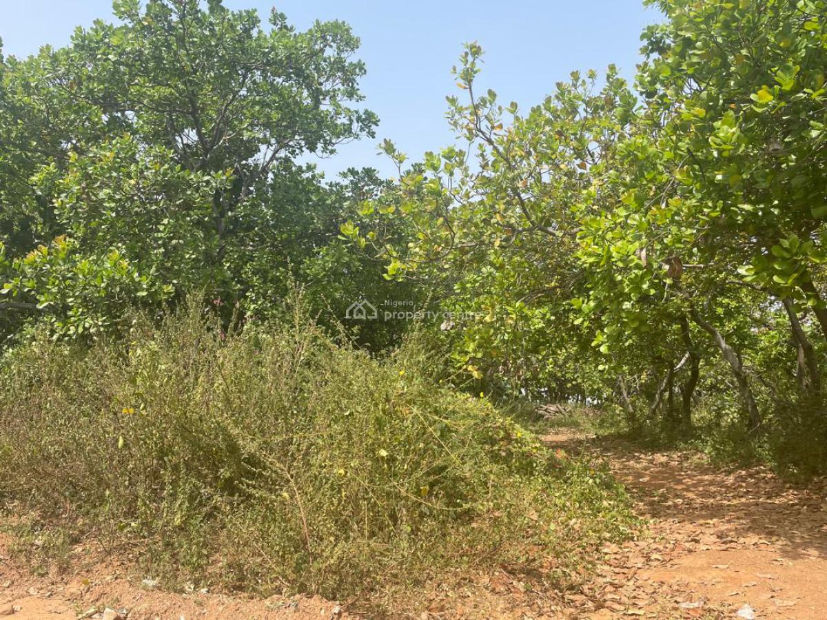 Premium Residential Plot with Cofo in Kaura District Abuja, a Stone Throw From Prince & Princess Estate, Kaura, Abuja, Residential Land for Sale