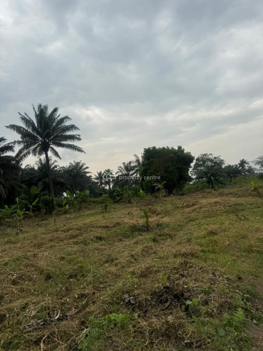 Mh Farm and Resort, Aiyepe , All Inclusive Offer, Odogbolu, Ogun, Land for Sale
