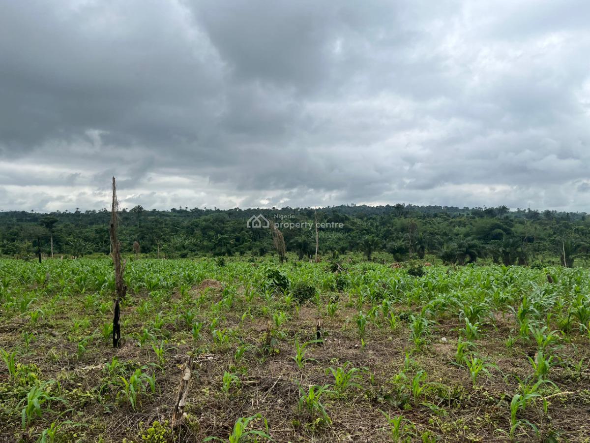 Farm Land, Farm Land with Free Seedlings for Cultivation Around Funaab, Abeokuta North, Ogun, Commercial Land for Sale