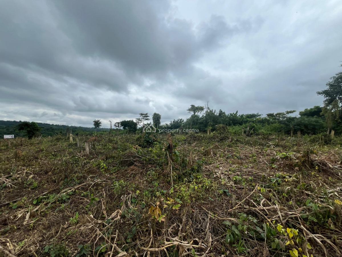 Farm Land, Farm Land with Free Seedlings for Cultivation Around Funaab, Abeokuta North, Ogun, Commercial Land for Sale