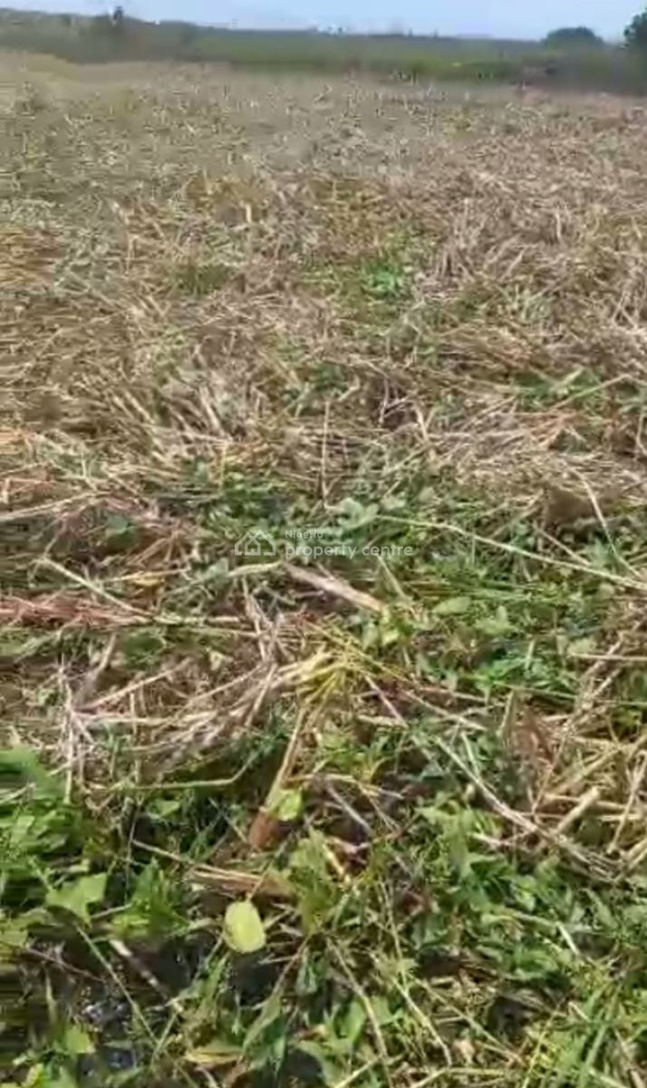 1,673sqm Vacant Land, Lagasa Town, Lakowe, Ibeju Lekki, Lagos, Mixed-use Land for Sale