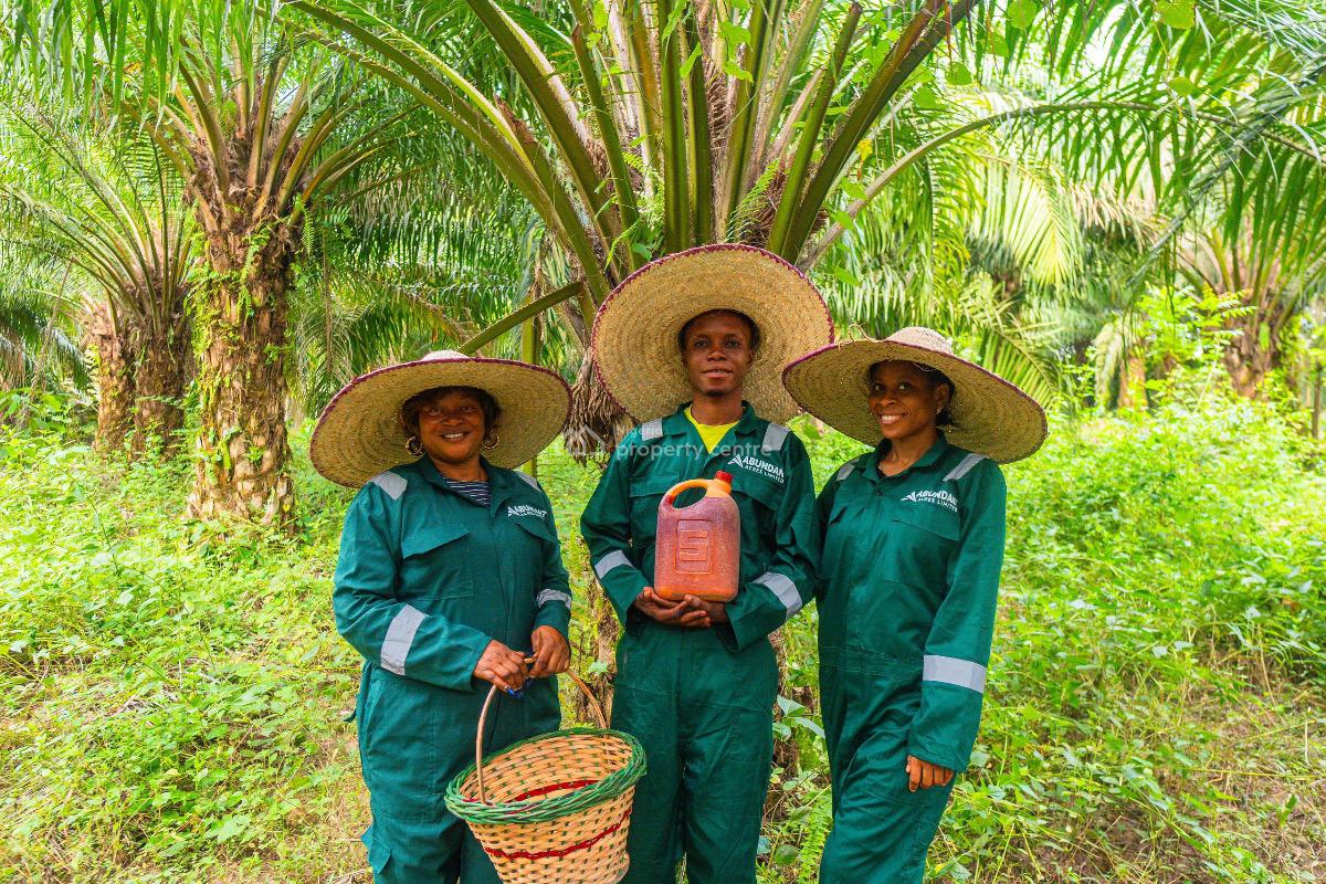 Earn Yearly From a Plot at Oil Gold Farm, Odeda Local Government, Abeokuta North, Ogun, Commercial Land for Sale