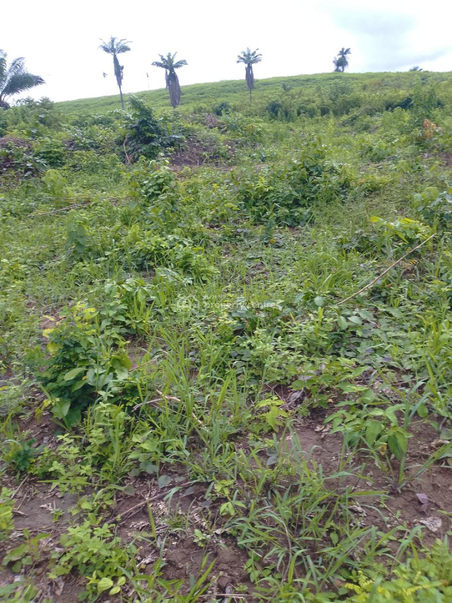 Land Near Asaba International Airport, Ubulu Okiti, Asaba, Delta, Land for Sale