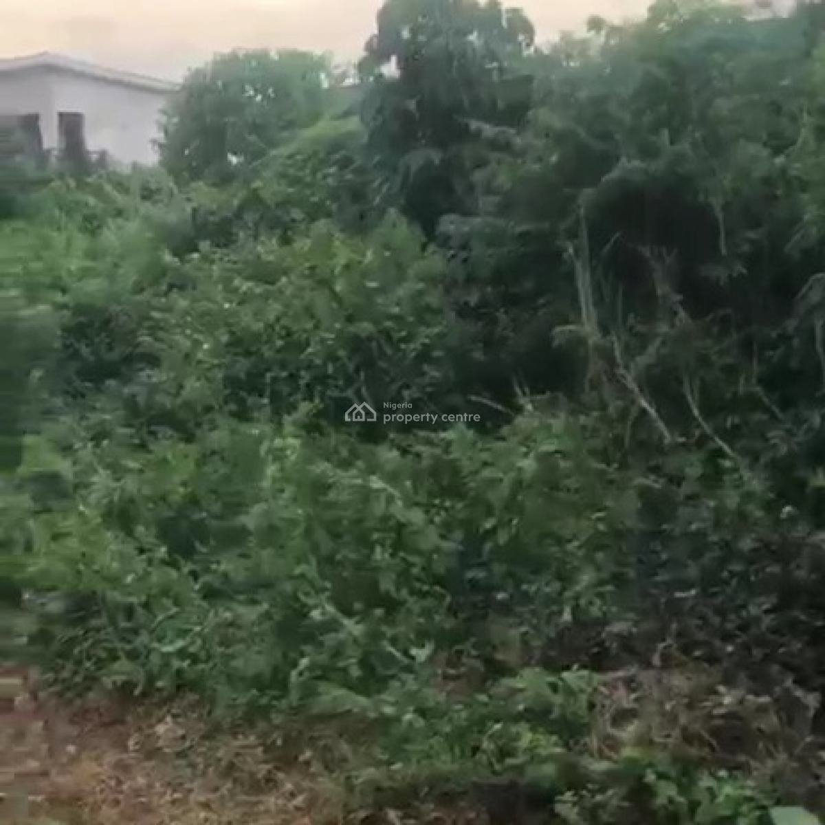 100ft By 300ft Corner Piece Land, Okhoromi Community, Off Airport Road, Benin, Oredo, Edo, Land for Sale