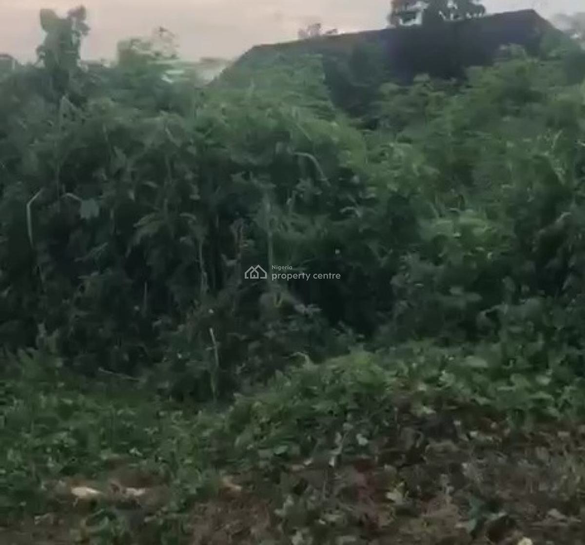 100ft By 300ft Corner Piece Land, Okhoromi Community, Off Airport Road, Benin, Oredo, Edo, Land for Sale