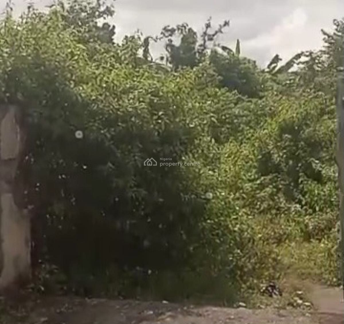 100ft By 100ft Empty Land Fenced Round, Adesuwa Road, Gra, Off Aideyan Road, Benin, Oredo, Edo, Land for Sale