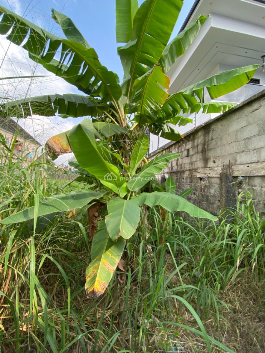 1 Plot of Land Fully Fenced and Gated  in a Secured and Gated Estate, Potters Estate Off Peter Odili Road Port Harcourt Rivers State Nigeria, Port Harcourt, Rivers, Residential Land for Sale