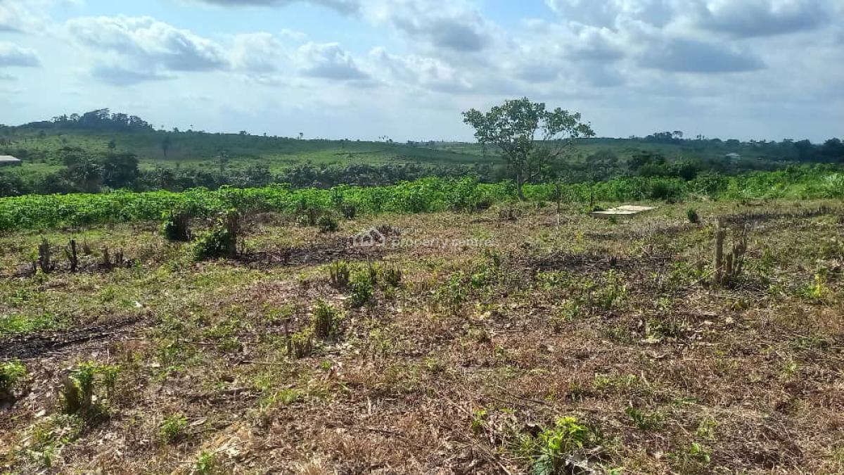 Most Affordable Land on Promo in a Developed Area, Goodlife Estate Ijebu Isiwo , No Extra Charges Is on Promo Now, Ijebu East, Ogun, Mixed-use Land for Sale