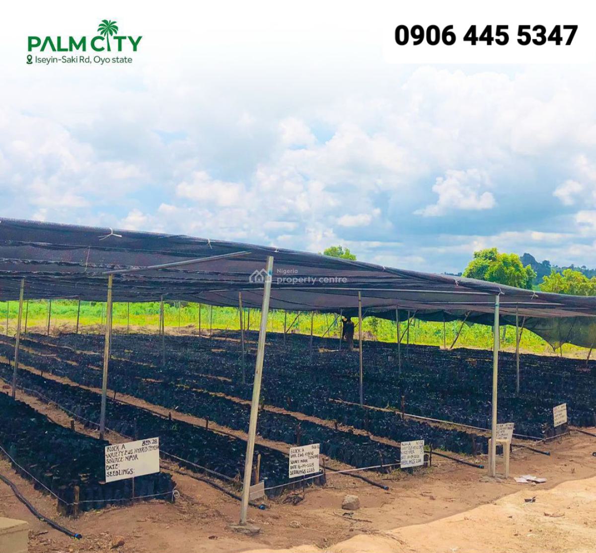 Acres and Hectares of Palm Oil Tree Farmland, Iseyin-saki Road, Iseyin, Oyo, Land for Sale