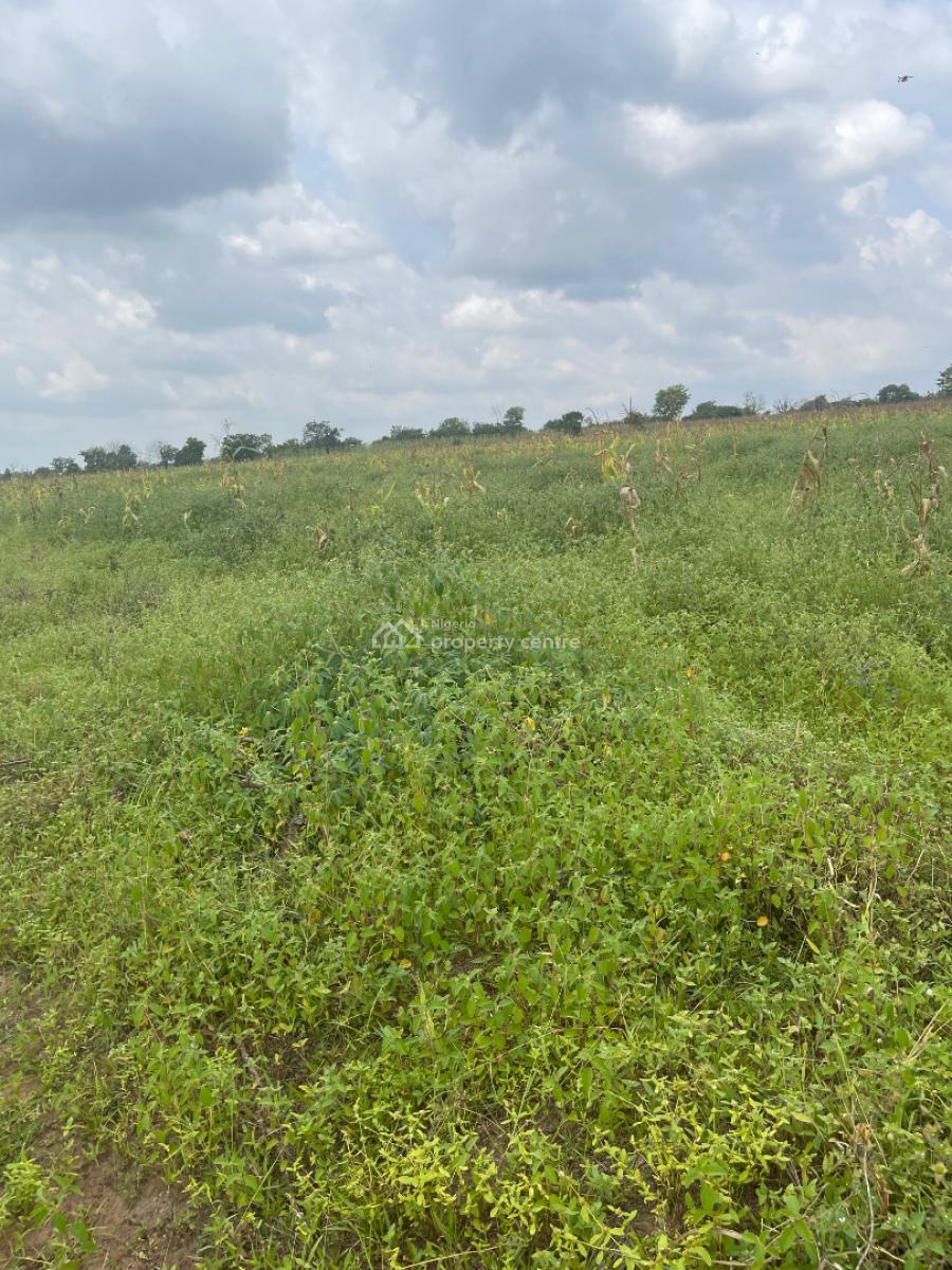 Exclusive Cocoa and Plantain Farm, Abeokuta North, Ogun, Land for Sale