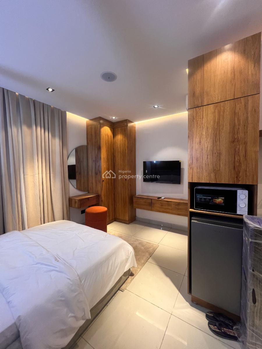 Most Affordable Yet Luxury Cash Generating Asset Perfect for Airbnb, Most Affordable Yet Luxury Cash Generating Asset Perfect for Airbnb, Surulere, Lagos, Mini Flat (room and Parlour) for Sale