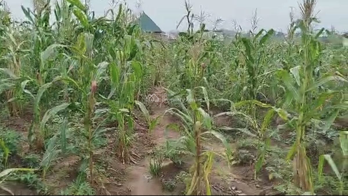 1,895sqm, Residential, C of O, Kyami, Abuja, Residential Land for Sale