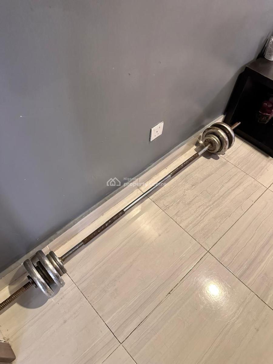 Fully Furnished and Serviced 2bedroom Apartment, Chevron Drive, Lekki, Lagos, Flat / Apartment for Rent