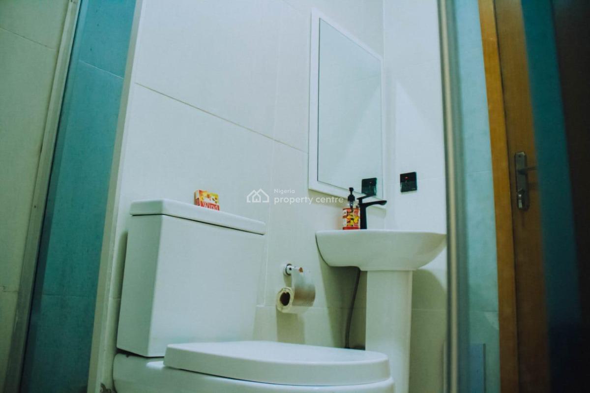 Luxury Furnished and Service Flat at Ikate, New Ikasan Road ,ikate, Ikate Elegushi, Lekki, Lagos, Flat / Apartment for Sale